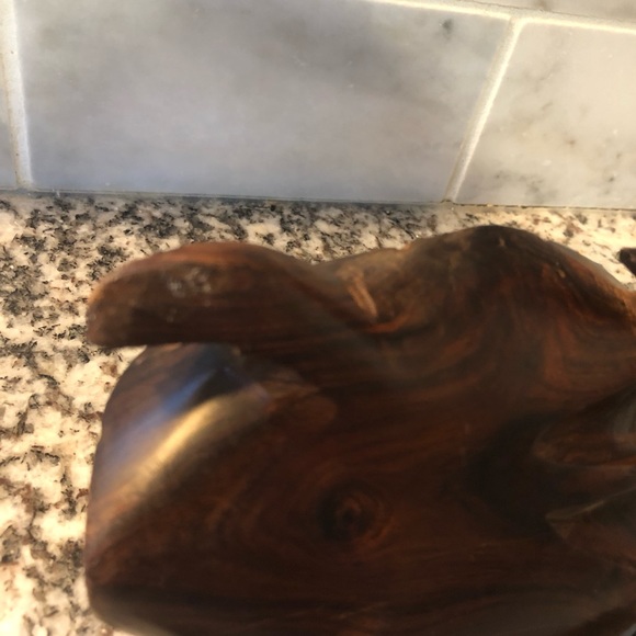 Ironwood sea turtle - Picture 7 of 7